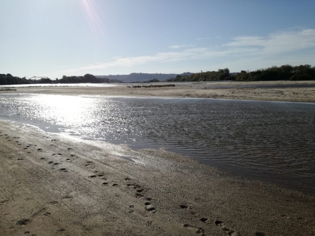 Rio Tejo a Almeirim